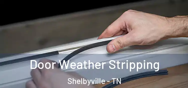  Door Weather Stripping Shelbyville - TN