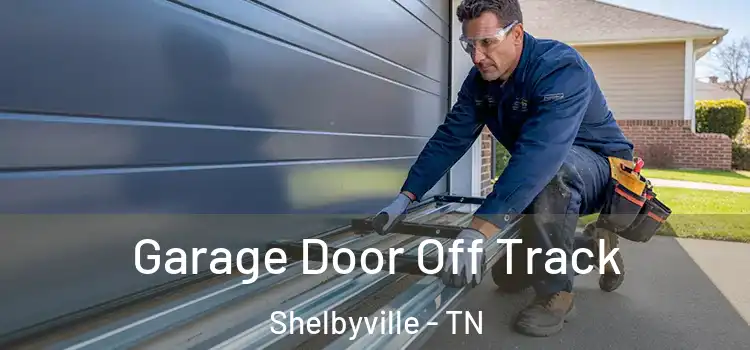  Garage Door Off Track Shelbyville - TN