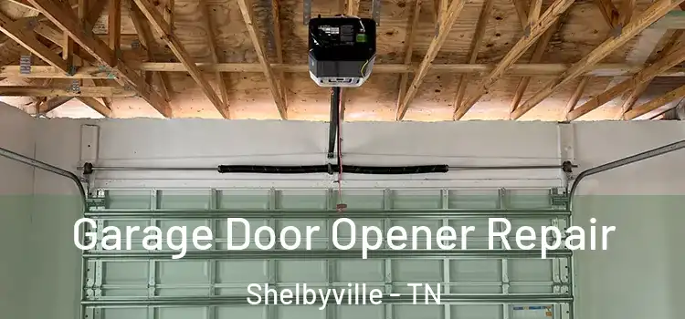  Garage Door Opener Repair Shelbyville - TN