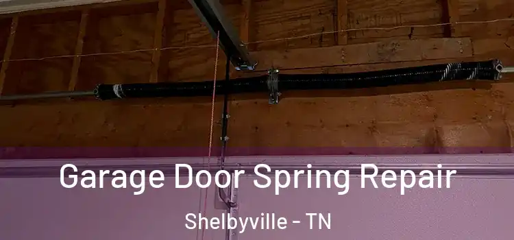  Garage Door Spring Repair Shelbyville - TN
