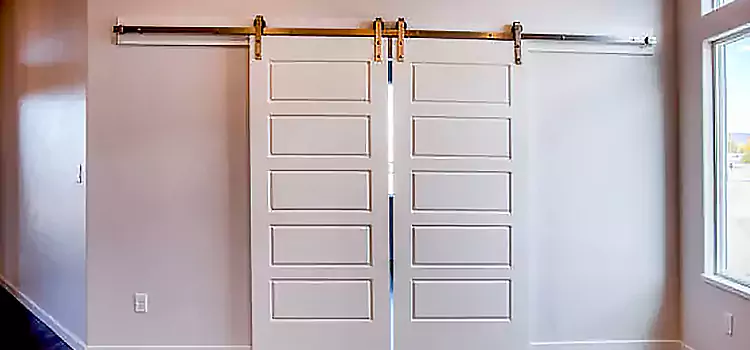 Glass Barn Door with Installation Hardware Kit Shelbyville