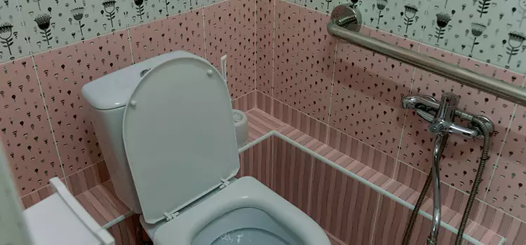 Meeting Diverse Needs With Accessible Restroom Solutions in Shelbyville, TN