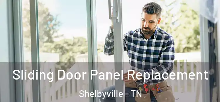  Sliding Door Panel Replacement Shelbyville - TN